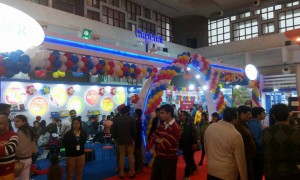 15894903 New Delhi Book Fair 2017